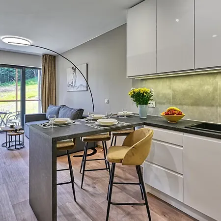Zrodlo Izery Przy Gondoli Vip Sauna, Silownia, Bawialnia, Gier By Royal Aparts Apartment *